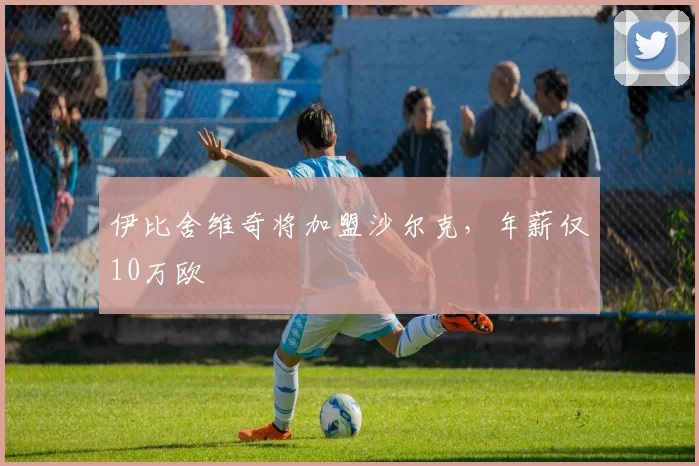 伊比舍维奇将加盟沙尔克，年薪仅10万欧