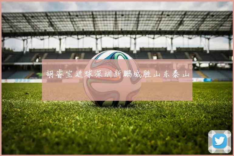 胡睿宝进球深圳新鹏城胜山东泰山