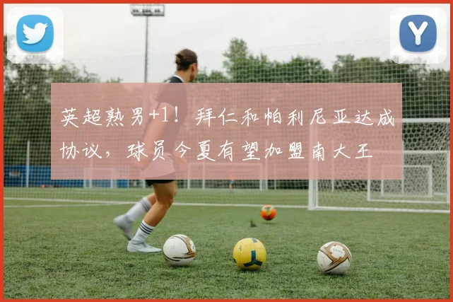 英超熟男+1！拜仁和帕利尼亚达成协议，球员今夏有望加盟南大王